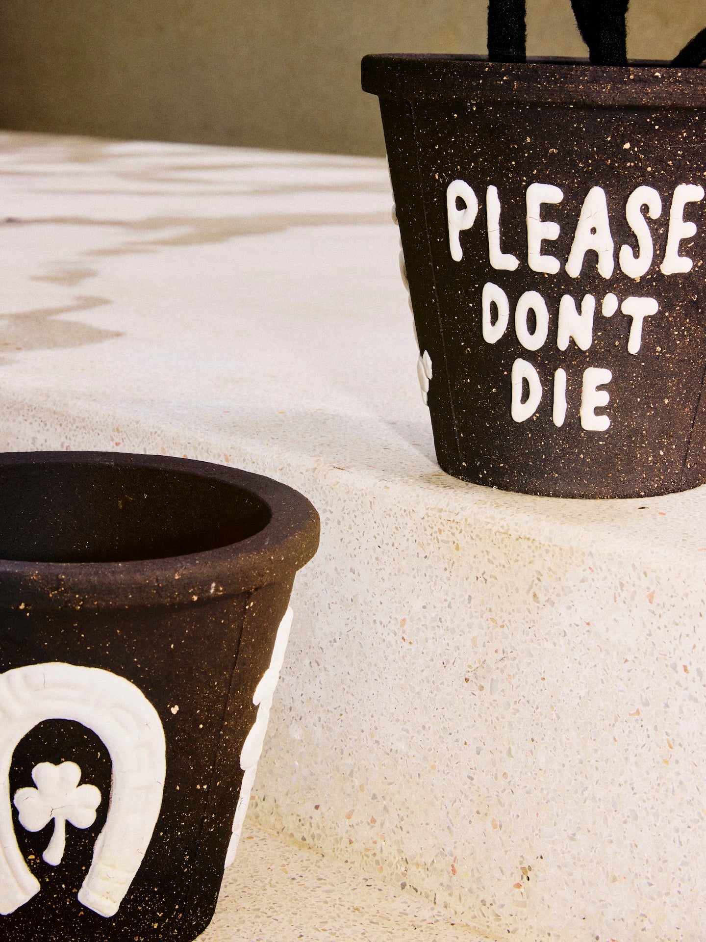 THE SCENE  "Please don't die" Planter