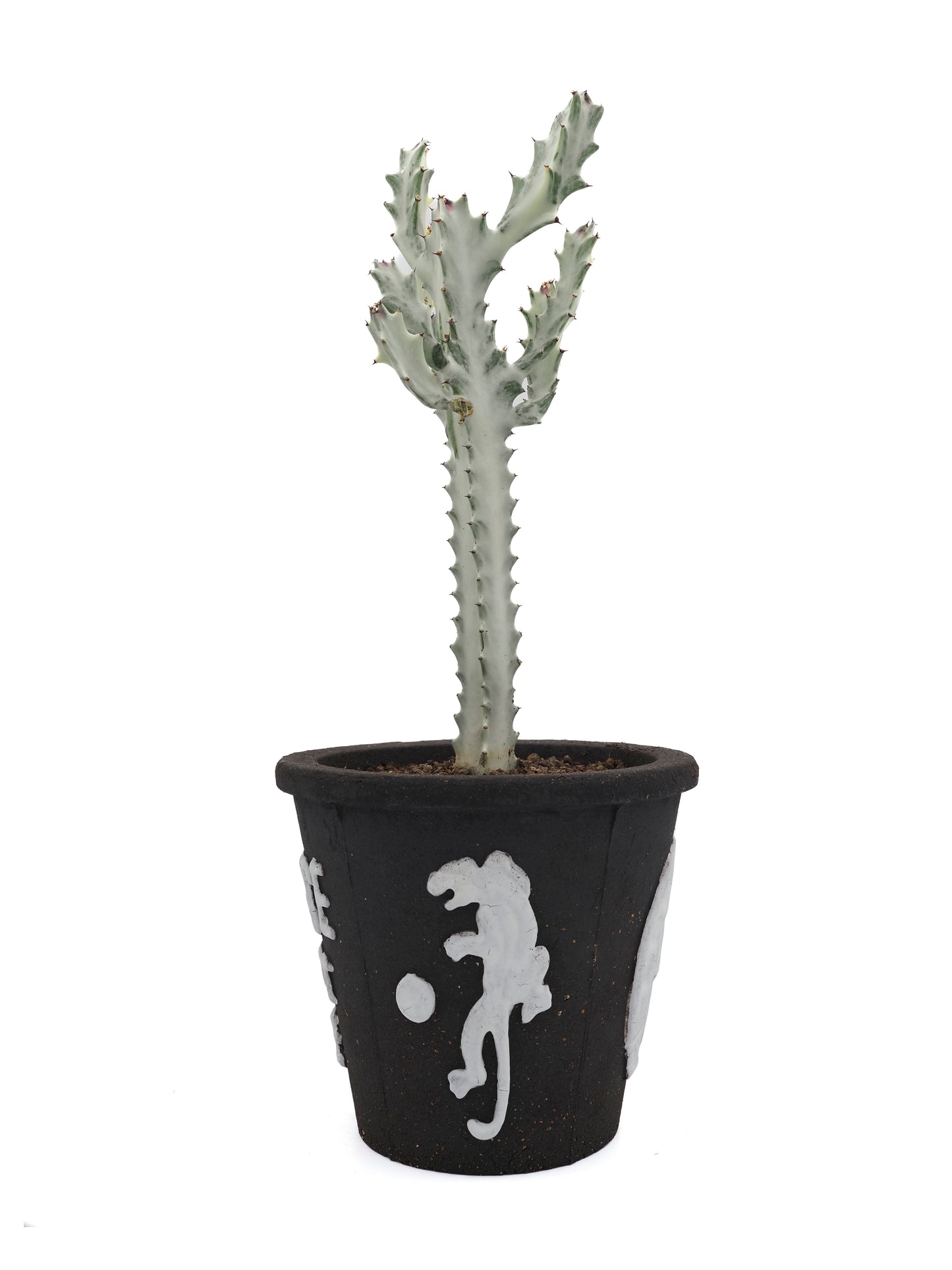 THE SCENE  "Please don't die" Planter